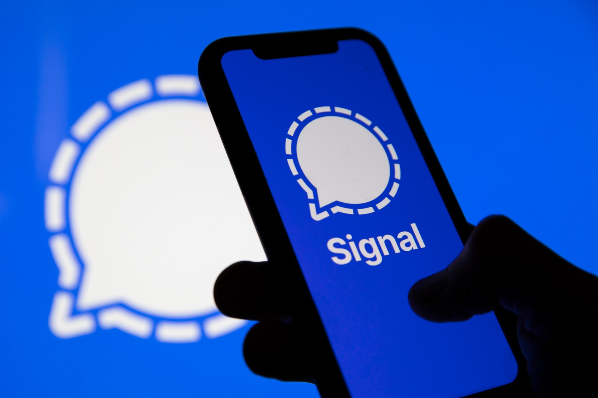 Signal Chat